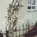 Klettergerüst für Rosen und anderes, Material Eisen geschmiedet, verzinkt und lackiert