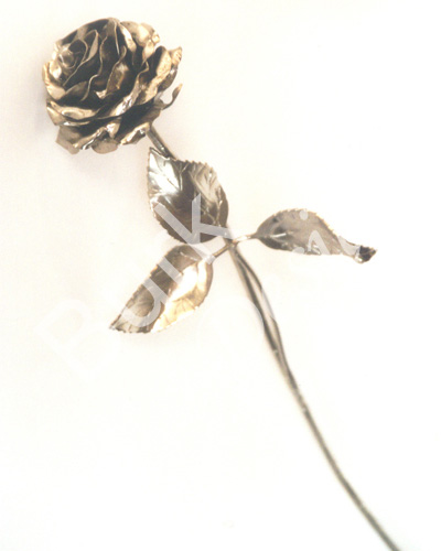 Rosen geschmiedet aus Eisen natur oder veredelt, jede Rose ein Unikat